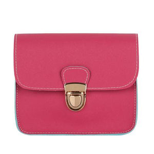 The small leather flap handbags