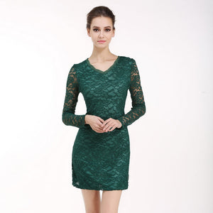 Lace Long Sleeve Bodycon  Dresses