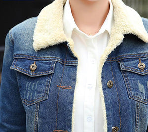 Cashmere lining Denim Jacket